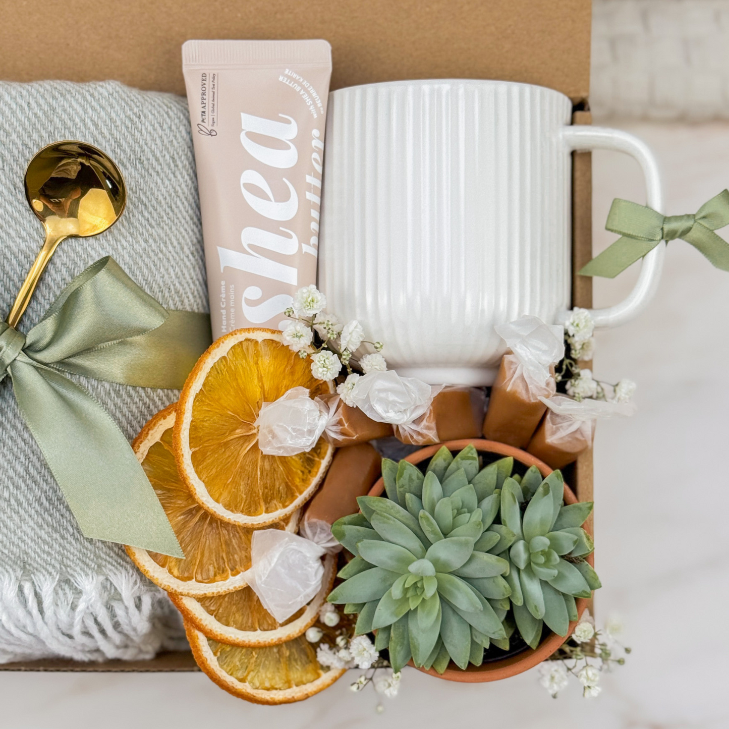 Succulent Gift Box | Whispers of Joy
